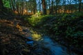 Spring with water at the source of the underground stream and the upper reaches of the river in the park in the city, at night.