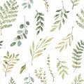 Spring watercolor seamless pattern. Botanical background with eucalyptus, branches, fern and leaves. Greenery illustration Royalty Free Stock Photo