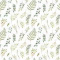 Spring watercolor seamless pattern. Botanical background with eucalyptus, branches, fern and leaves. Greenery illustration. Floral Royalty Free Stock Photo