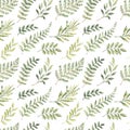 Spring watercolor seamless pattern. Botanical background with eucalyptus, branches, fern and leaves. Greenery illustration. Floral Royalty Free Stock Photo