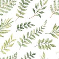 Spring watercolor seamless pattern. Botanical background with eucalyptus, branches, fern and leaves. Greenery illustration. Floral Royalty Free Stock Photo