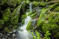 Spring waterfall in mossy stones