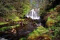 Spring Waterfall Royalty Free Stock Photo