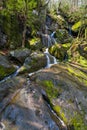 Spring Waterfall in the Smokies Royalty Free Stock Photo