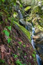 Spring Waterfall in the Smokies Royalty Free Stock Photo