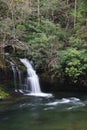 Falling waterfall in the Great Smoky Mountains. Royalty Free Stock Photo