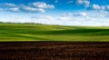 Waves hills landscape with winter crops and cloudly sky Royalty Free Stock Photo