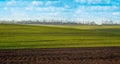 wave hills landscape with winter crops and cloudly sky Royalty Free Stock Photo