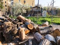 Spring weather, sunny sky, flowering trees in the village. Chopped firewood in the village yard