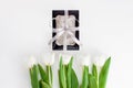 Spring website header template. White tulip black gift box with silver ribbon on light background flat lay. Copy space Royalty Free Stock Photo