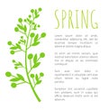 Spring and Weed Grass on Poster with Sample Text