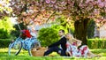 Spring weekend. Romantic picnic with wine. Give uncommon, unique gifts spontaneously. Happy loving couple relaxing in Royalty Free Stock Photo