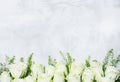 Spring white roses, gray background, top view