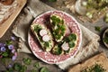 Spring wild edible plants - onion grass, garlic mustard and ground elder, on slices of sourdough bread on a plate Royalty Free Stock Photo