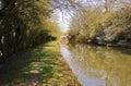 Spring with Wild Plum Blossom on the Grand Union Canal at Yelvertoft Cover, Northamptonshire