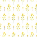 Spring wild yellow flower field seamless pattern.