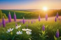 Spring wildflower field in beautiful sunlight. flowers and grass in a countryside at sunset time Royalty Free Stock Photo