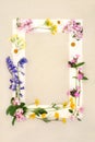 Spring Wildflower Seasonal Background Frame