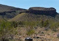 Black Mountains in Western Arizona, Spring wildflowers Royalty Free Stock Photo