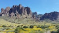 Spring wildflowers in Superstition Mountains