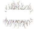 Spring willow branch rectangular frame, watercolor on white background Royalty Free Stock Photo