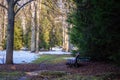 Spring-winter landscape of nature in the forest with a bench Royalty Free Stock Photo