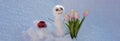 Spring or winter seasons banner. Bye winter Hello spring. Snowman with coffee cup. Snow man with flowers. Royalty Free Stock Photo