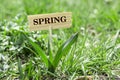 Spring wooden sign Royalty Free Stock Photo