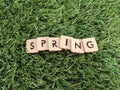 Spring word spelled on wood blocks on grass