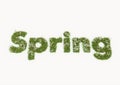 Spring word typed by flowers and grass