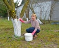 Spring work in a garden, whitewashing of fruit-trees Royalty Free Stock Photo