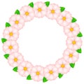 Spring wreath with Cherry Blossoms with Place for text. Hanami festival. Blooming Sakura, plum Ume. The Lunar Chinese New Year.