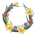 Spring wreath tulips narcissus crocus leaves, hand drawing.