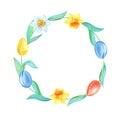 Spring Wreath.Watercolor illustration with colorful tulips,daffodils on a white background.Watercolour bouquet