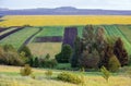 Spring yellow flowering rapeseed and small farmlands fields Royalty Free Stock Photo