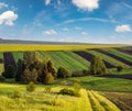 Spring yellow flowering rapeseed and small farmlands fields