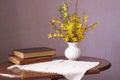 Spring yellow flowers - Forsythia Royalty Free Stock Photo