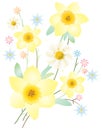 Spring Yellow flowers isolated Passover banner greeting card Jewish Holiday beautiful floral decoration Royalty Free Stock Photo