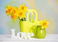 Spring yellow flowers and love sign Royalty Free Stock Photo