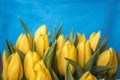 Spring yellow flowers -tulips