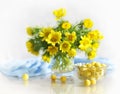 Spring yellow flowers in a vase Royalty Free Stock Photo