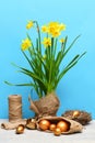 Spring yellow narcissus, golden easter egg and thread or rope Royalty Free Stock Photo