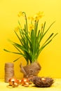 Spring yellow narcissus, golden easter egg and thread or rope Royalty Free Stock Photo