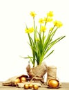 Spring yellow narcissus, golden easter eggs and thread or rope