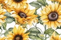 Spring Yellow Sunflower Watercolor Style, White background Color