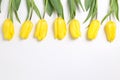 Spring yellow tulip flowers on white background Royalty Free Stock Photo