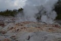 Spring in Yellowstone: Minor Eruption From the North Vent of Steamboat Geyser in the Back Basin Area of Norris Geyser Basin