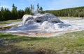 Spring in Yellowstone National Park: Late Afternoon Shadows Creep Toward Grotto Geyser of the Grotto Group in Upper Geyser Basin