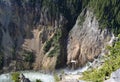 Spring in Yellowstone National Park: Looking Down into the Grand Canyon of the Yellowstone River Near the Brink of the Lower Falls Royalty Free Stock Photo