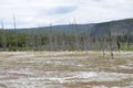 Spring in Yellowstone National Park: Looking Southwest from the Biscuit Basin Across Little Firehole River to the Madison Plateau